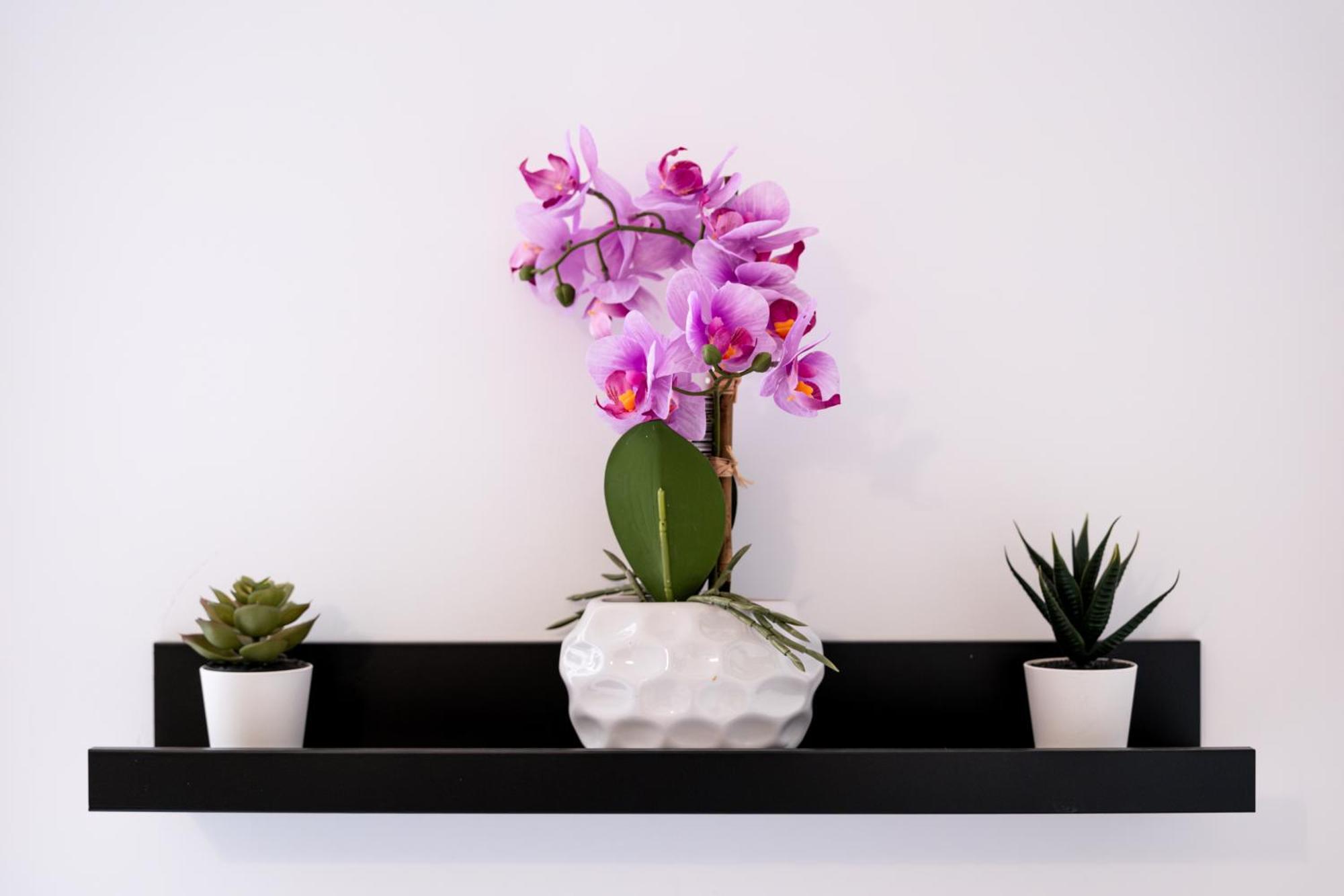 Soho Downtown Apartment Budapest Luaran gambar
